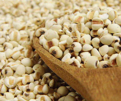 Coix Seed Powder