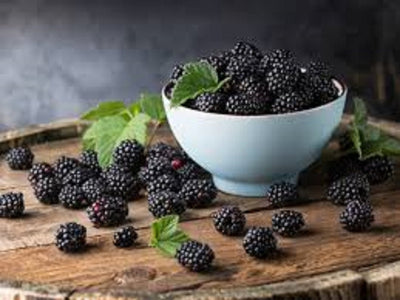 Blackberry Extract