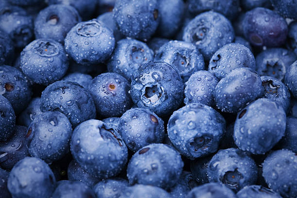 Macro photography of dark berries and pomegranate seeds